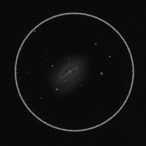 NGC 2903 vom 03.03.2022 (Zeichnung)