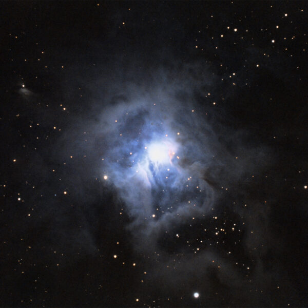 NGC 7023 – Irisnebel