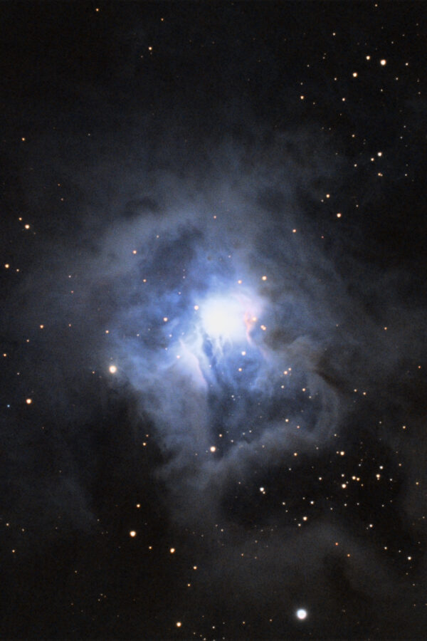 NGC 7023 – Irisnebel