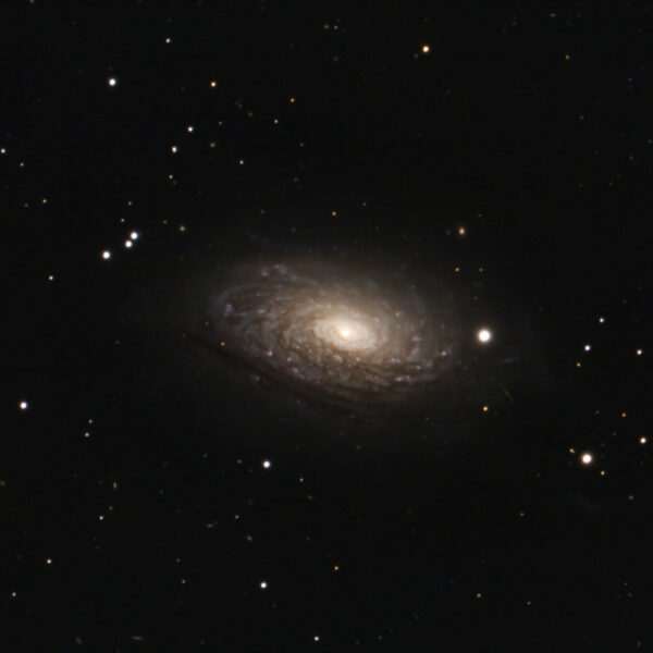 Messier 63 – Drei Stunden Aufnahme der Sonnenblumen Galaxie