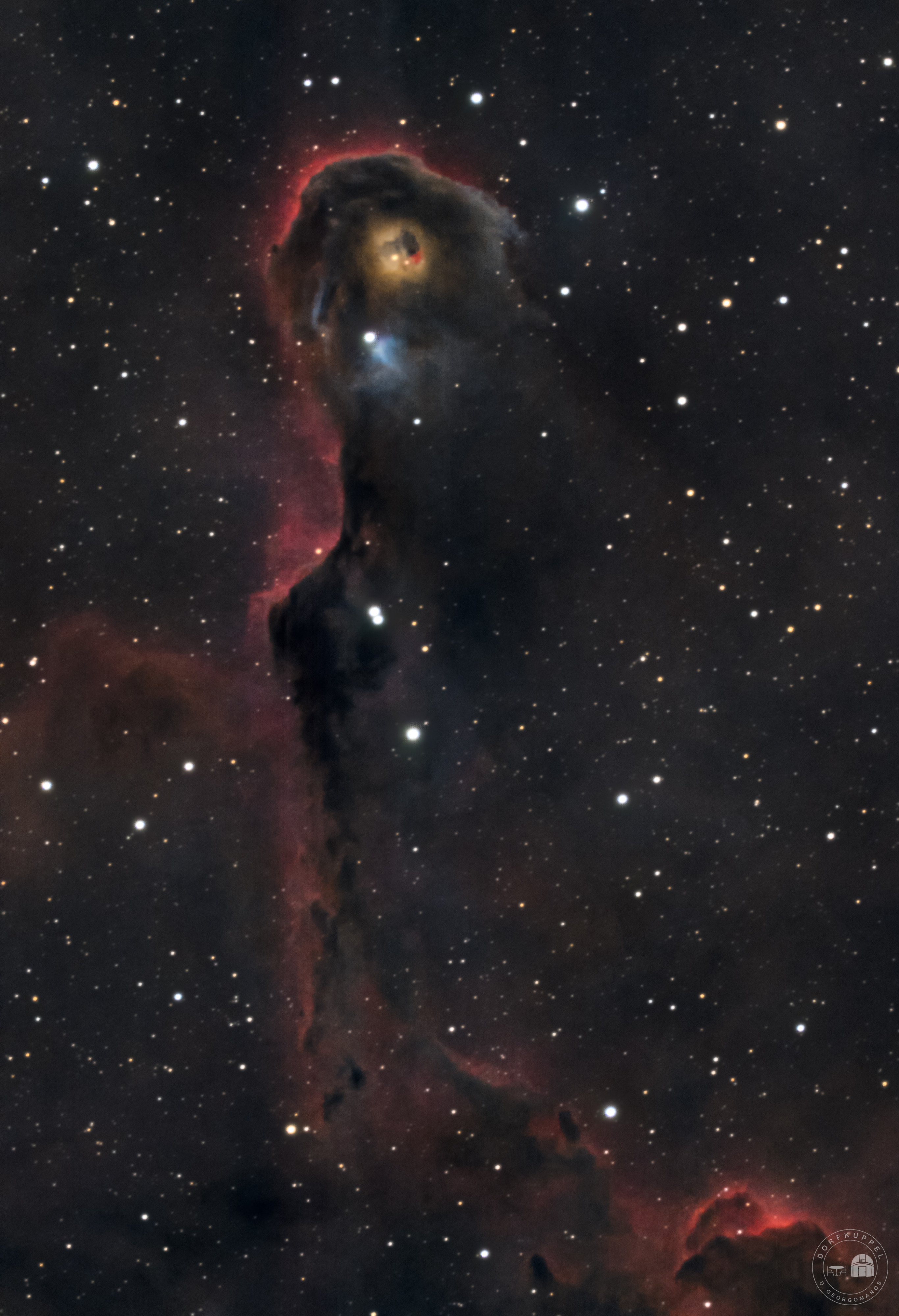 IC 1396A, die Globule im Sternbild Kepheus