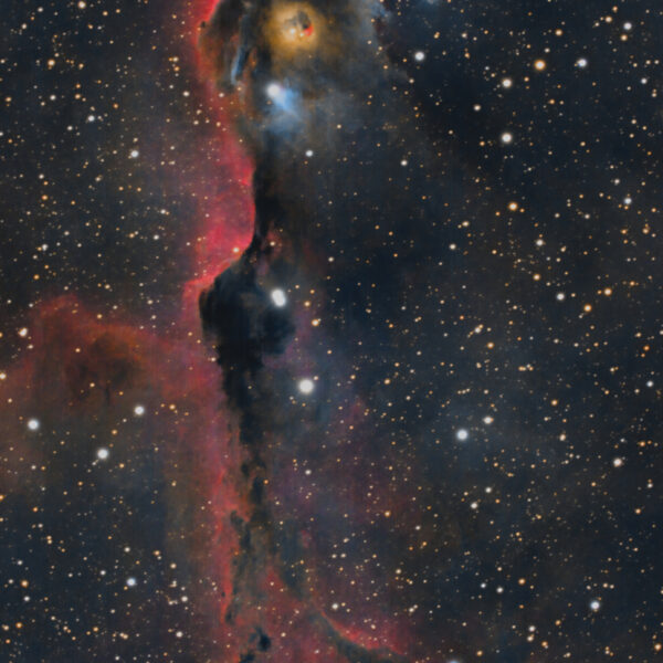 Elefantenrüsselnebel IC 1396A, die Globule im Sternbild Kepheus