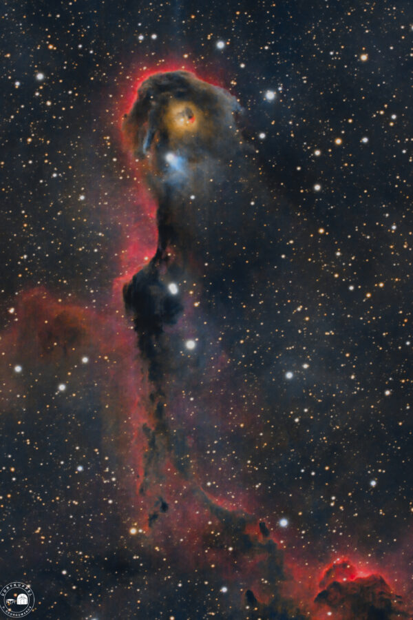 Elefantenrüsselnebel IC 1396A, die Globule im Sternbild Kepheus